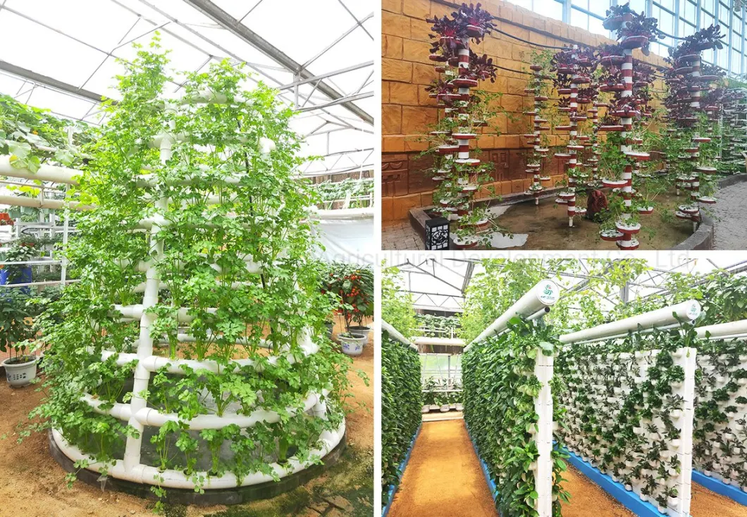 Vertical Nft Channels System Farm Garden Hydroponics System for Greenhouse with Fish Vegetable Symbiosis Cooling/Heating System