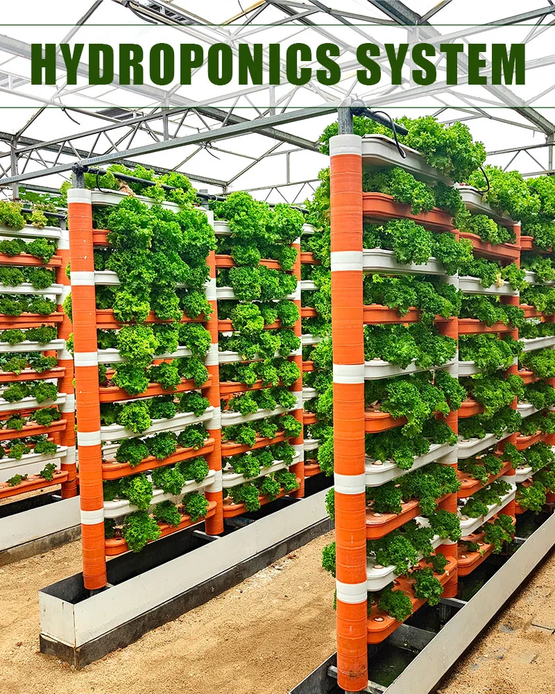 Vertical Agriculture Farm Nft Channel Hydroponics System for Fish Vegetable Symbiosis Eco Greenhouse with Cooling/Heating Fan