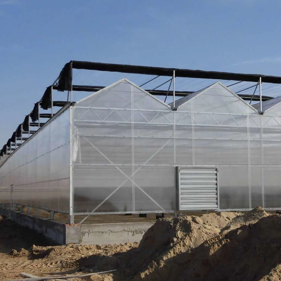 Galvanized Steel Structure PC Sheet Greenhouse with Hydroponic System