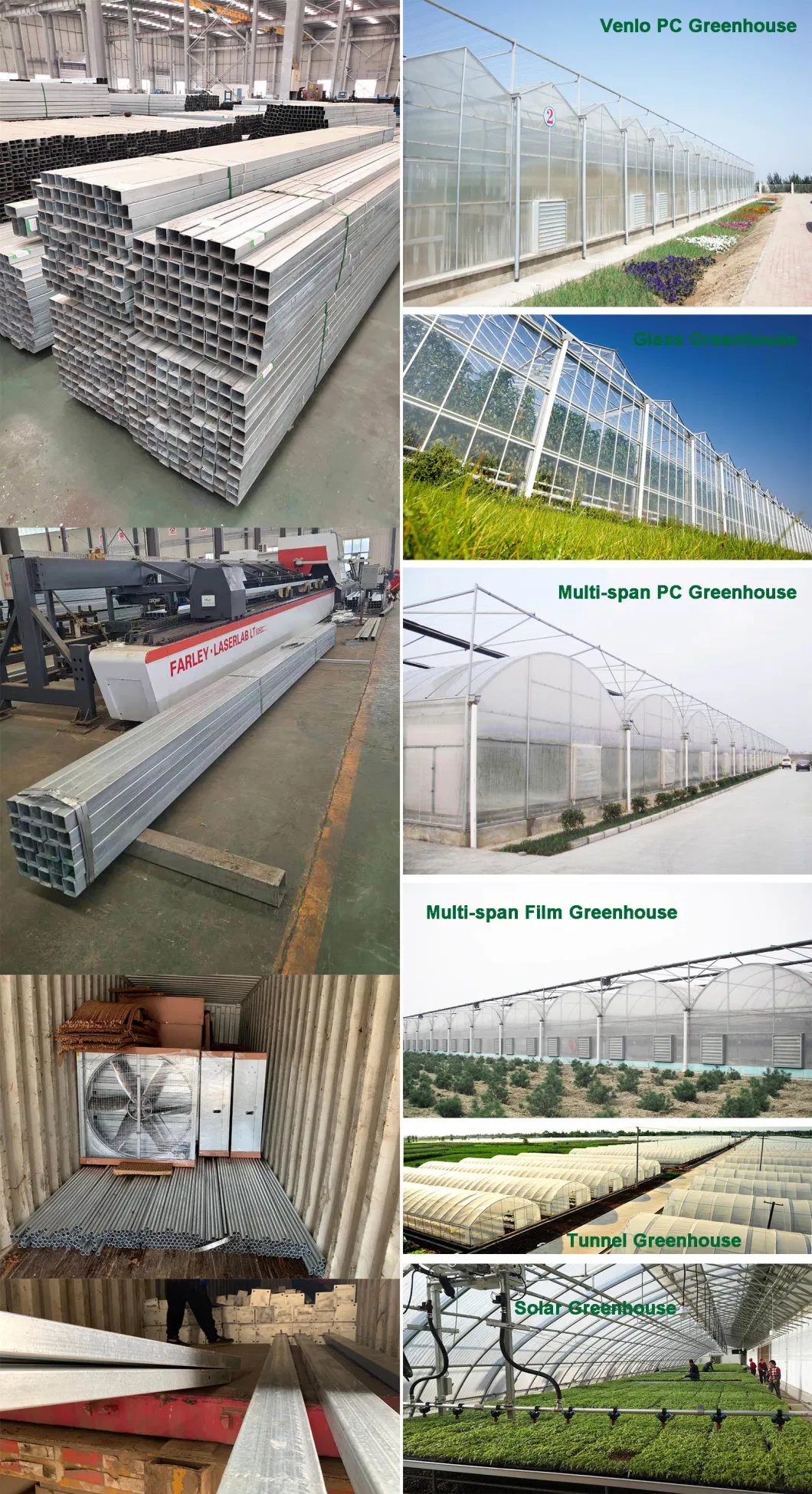 Hydroponics Glass Greenhouse with Complete Systems