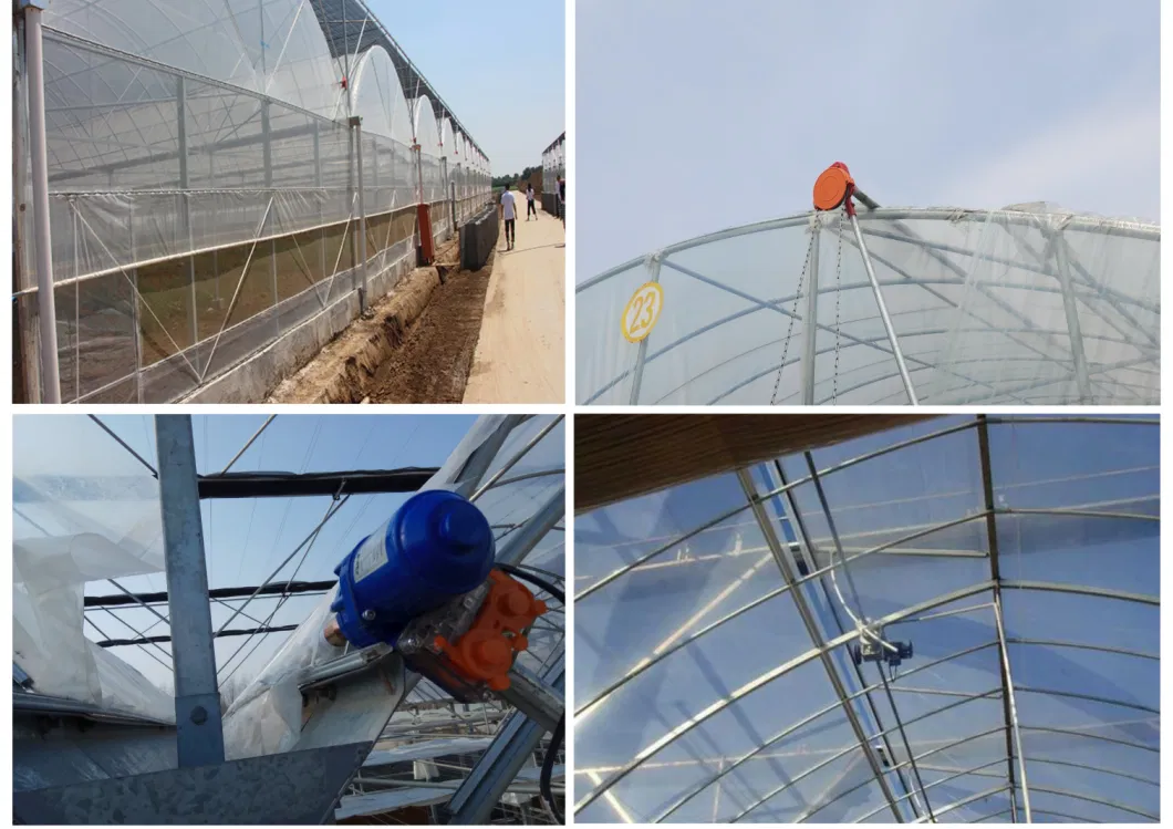 Film Greenhouse Inside and Outside Shading System for Agricultural