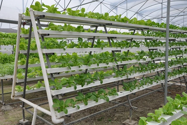 Hydroponic System Vertical Farming Greenhouses Nft Hydroponic Channel System