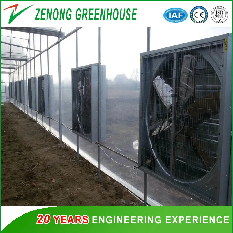 Green House Exhaust Fan and Cooling Pad System