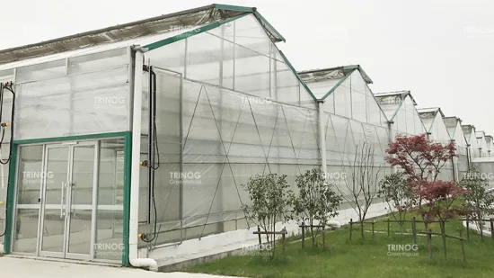 Landwirtschaftliches Dreiecksdach-Gewächshaus aus PC-Platten-Polycarbonat mit Kühlkissen und Ventilatoren