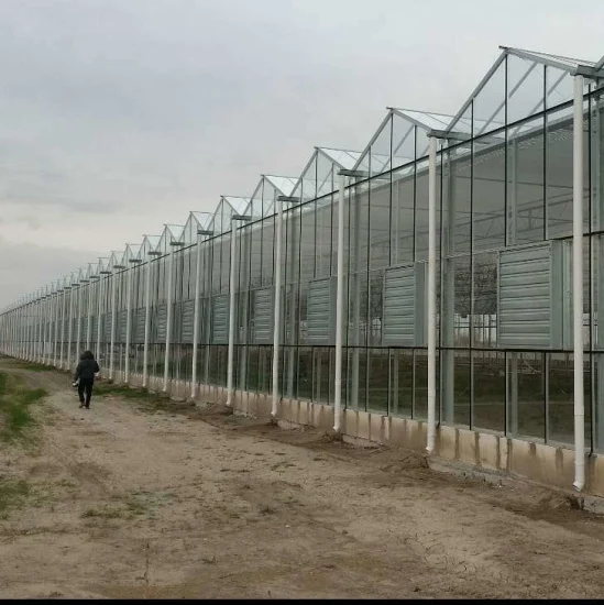 Hydrokultur-Glasgewächshaus mit kompletten Systemen