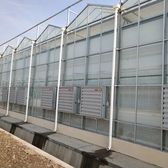 Landwirtschaftliche Hydroponiksysteme PC-Platten-Polycarbonat-Gewächshaus für Panel-Multi