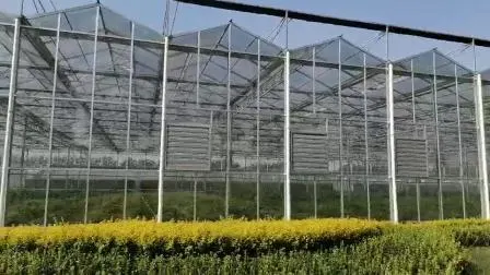 Günstig/Landwirtschaft/Bauernhof/Polycarbonat/Glas/Multi