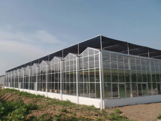 Venlo Typ PC Gewächshäuser, Glasgewächshaus für Gemüse/Blumen/Gurken, Ausstellungshalle, Bauernhof mit Hydrokultursystem